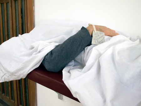 Генофонд.Пінакотека