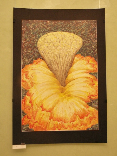 Лариса Піша "Гойдалка" 